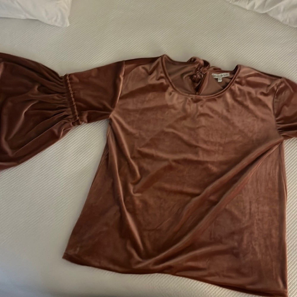 See and Be Seen Dusty Rose Bell Sleeve Top